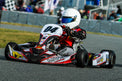 Margay Team Decal Kit - FP7 / Evo Stilo 