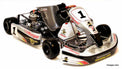 Unico decal kit shown on silver Unico bodywork