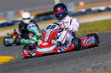 2026 Ignite Factory Decal Kit 